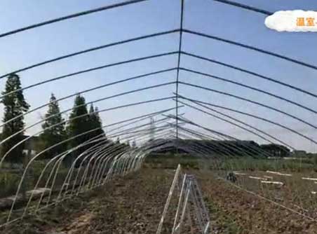 简易大棚搭建方法—大棚建造视频