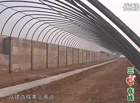 可移动装配式日光米兰体育温室大棚-新型米兰体育温室大棚
