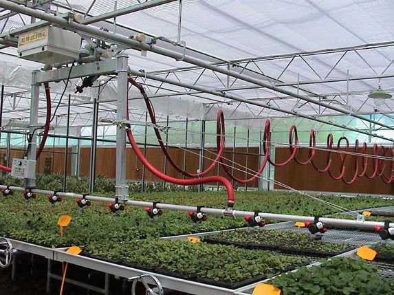 花卉养殖大棚骨架图片