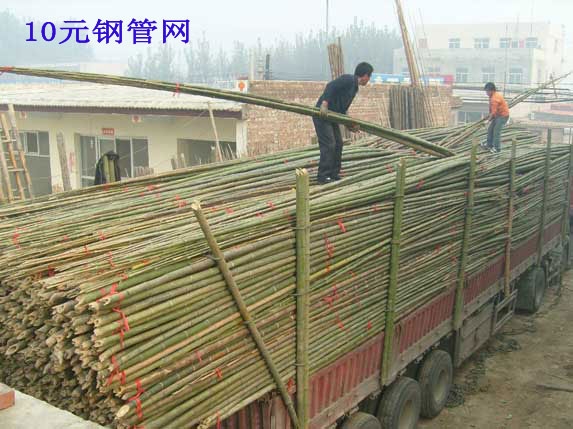 竹竿大棚管图片