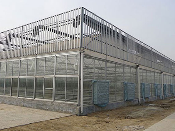 圆拱形阳光板连栋米兰体育温室大棚