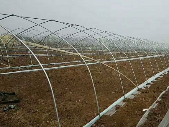6分大棚管高清图片