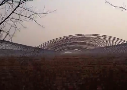 石河子椭圆管大棚基地拍摄视频