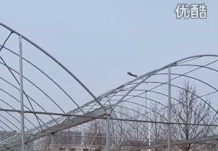 石河子简易连栋大棚高清视频拍摄