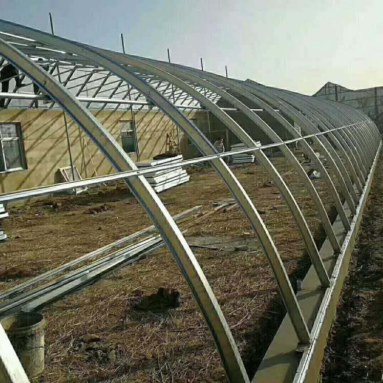 几字钢米兰体育温室大棚建造完成