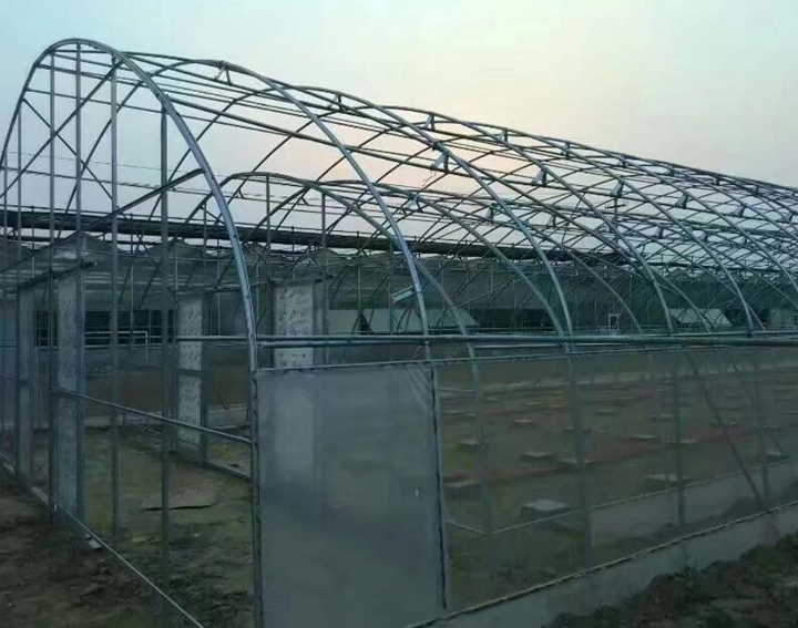 双拱蔬菜拱棚图片