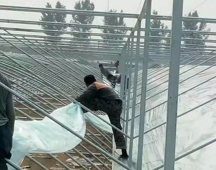 简易连栋大棚高清图片