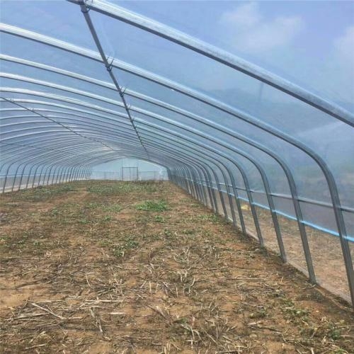 米兰体育温室大棚管图片