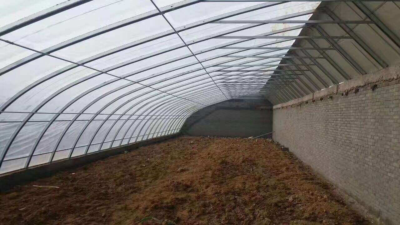 砖墙日光米兰体育温室图片