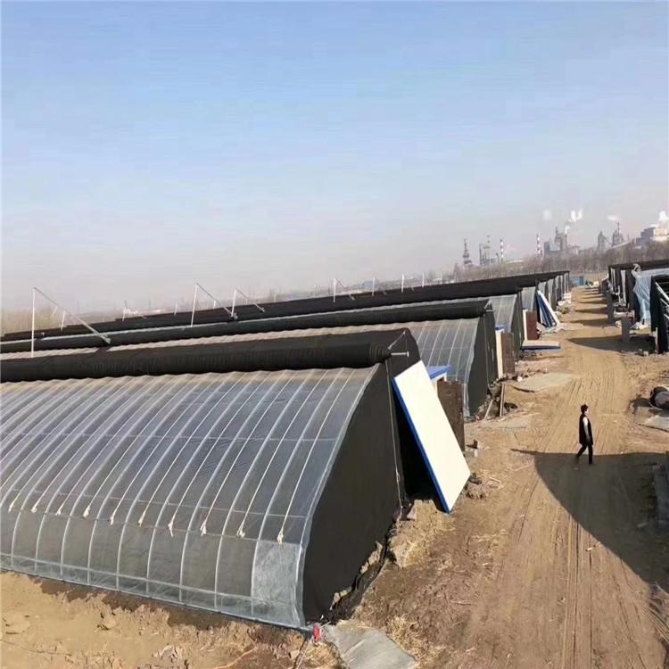 米兰体育温室大棚图片
