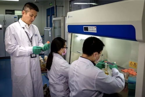 京沪粤企业高校将合作研发新冠病毒疫苗,争取快速启动